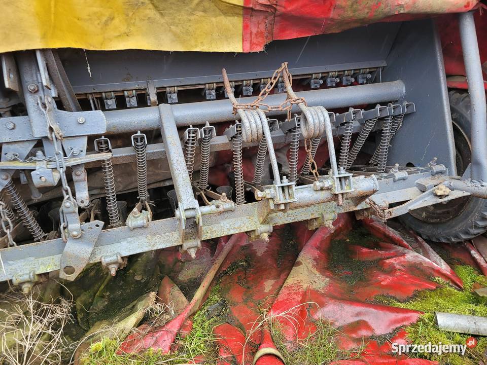 siewnik poznaniak Gliwice