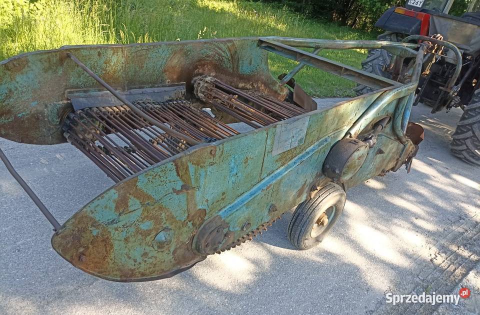 Kopaczka elewatorowa dwurzędowa do ziemniaków Pisarzowa