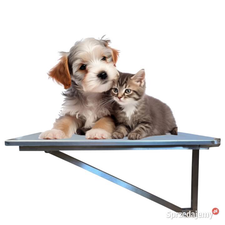 STÓŁ ŚCIENNY WETERYNARYJNY 90 X 60 Częstochowa sprzedam