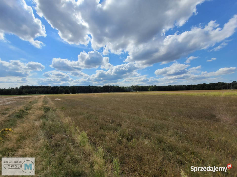 Działka 8000m2 Kluczewsko 31m