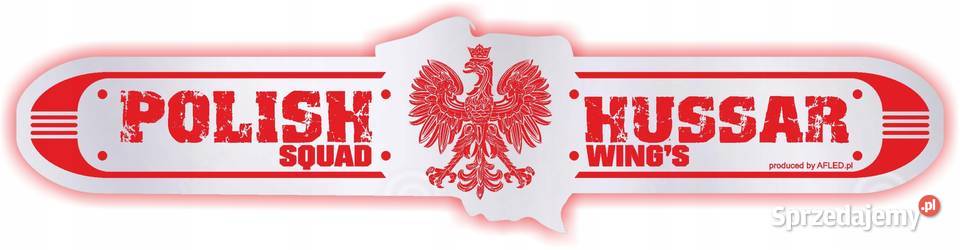 Lustro LED RED LIGHT district 24v TIR wielkopolskie Kobierno