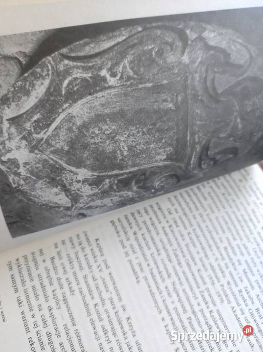 Zbigniew Święch Klątwy mikroby i uczeni Kielce