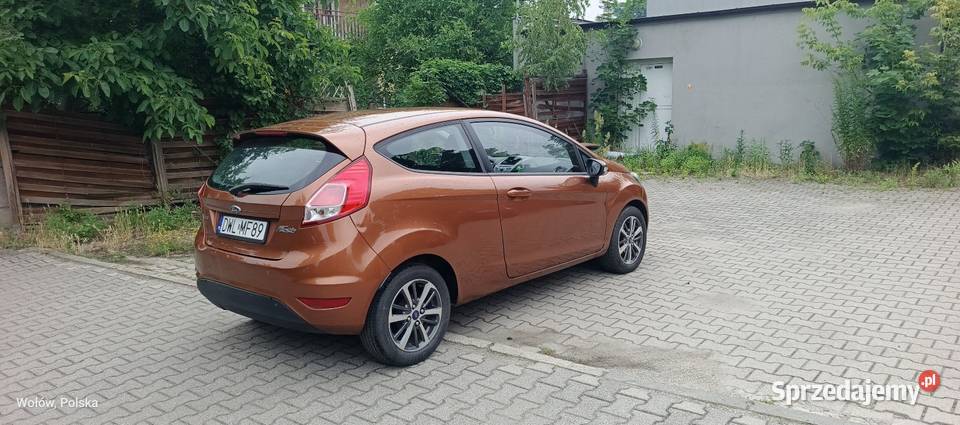 Ford Fiesta 2013 Wołów