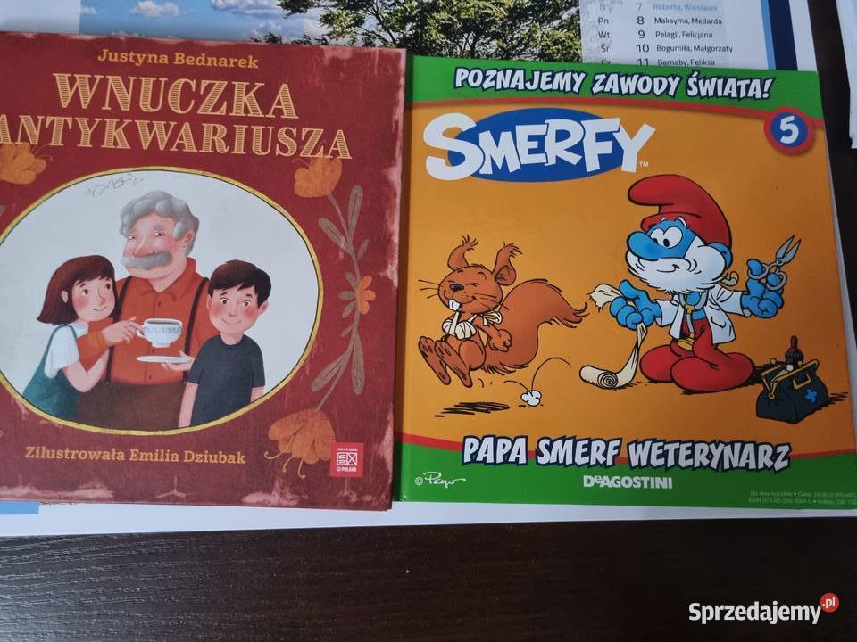 Książki dzieci i zabawy edukacyjne Pozostałe Chorzów