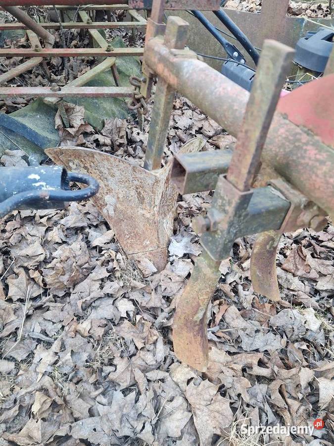 Sprzedam piernik do ziemniaków Iżyce