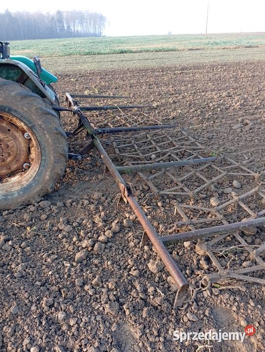 Brony 5 Sanie-Dąb sprzedam