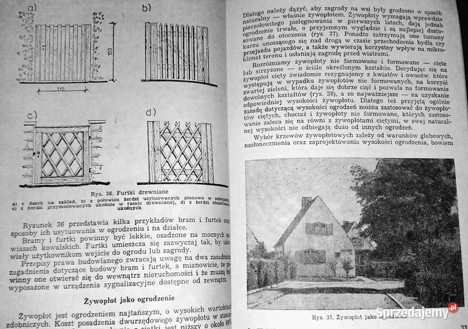 Wiejski ogród przydomowy Henryk Plessner lubelskie sprzedam