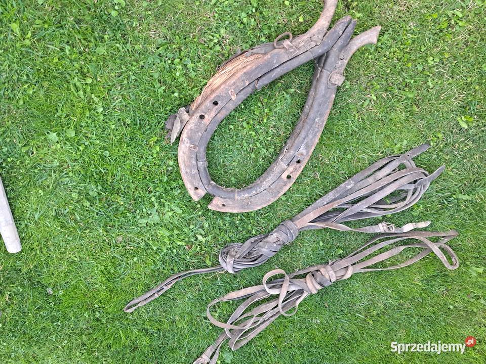 Orczyki chomąto krk narzędzia wieś stare sierp Brzesko
