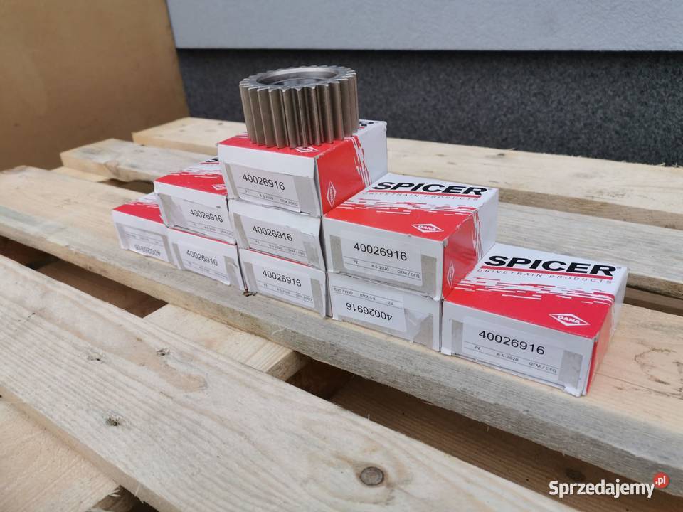 Satelita Łożysko zwolnicy Dieci Spicer Wilkowo