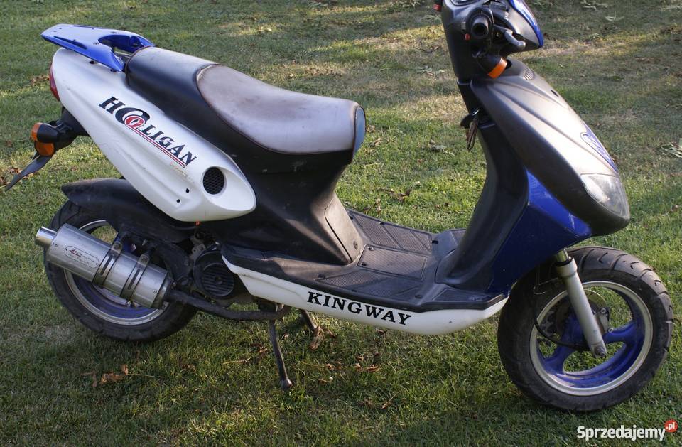 Kingway Hooligan Kumów Majoracki