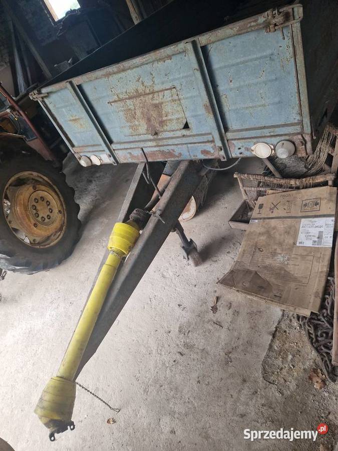 Rozrzutnik Szypliszki