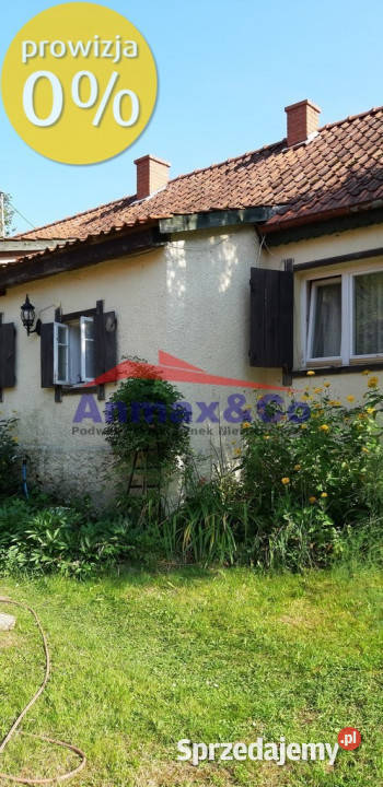 Dwa domy gotowy biznes asfalt Strzelniki