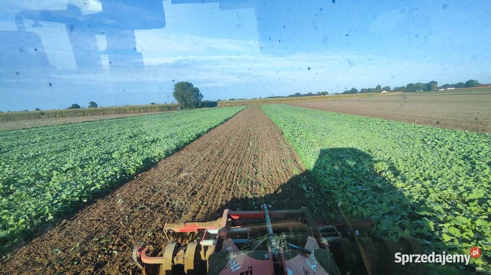 Brona talerzowa Bury Kobalt Strong 3m Sarnowo-Góry