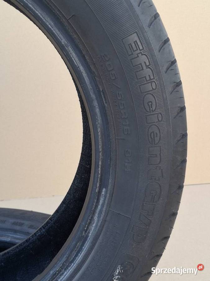 OPONY LETNIE PARA GOODYEAR EFFICIENTGRIP Bieleń