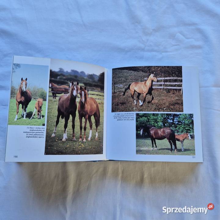 Konie 1001 fotografii książka album piękne Brzesko