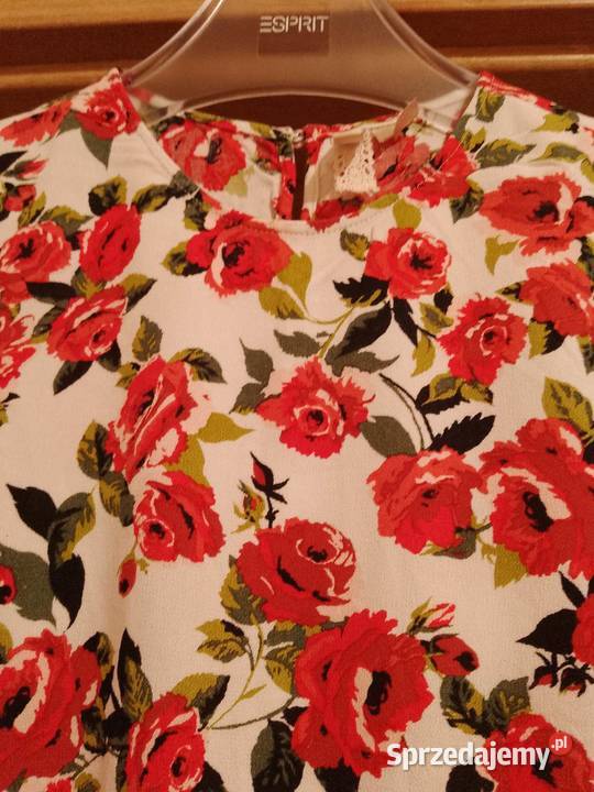 Bluzka damska marki Divided Bluzki i koszule Częstochowa