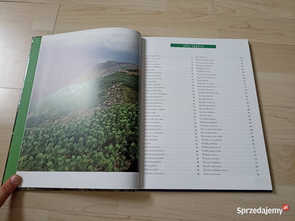 Agnieszka i Włodek Bilińscy Rośliny chronione w Kraków