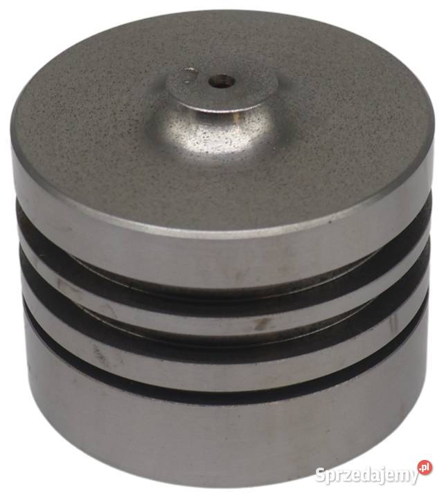 CYLINDER Podnośnika Z Tłokiem I Pierścieniami Hydraulika Hydraulika kujawsko-pomorskie Solec Kujawski