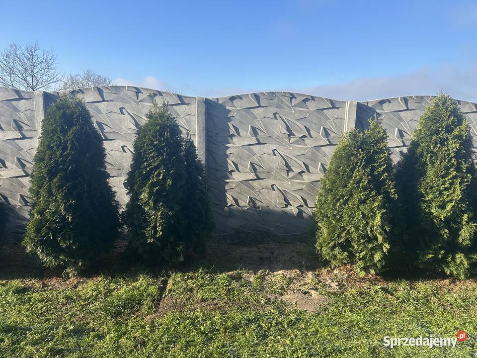 Dom z dwoma osobnymi lokalami 100m2 Wróblów