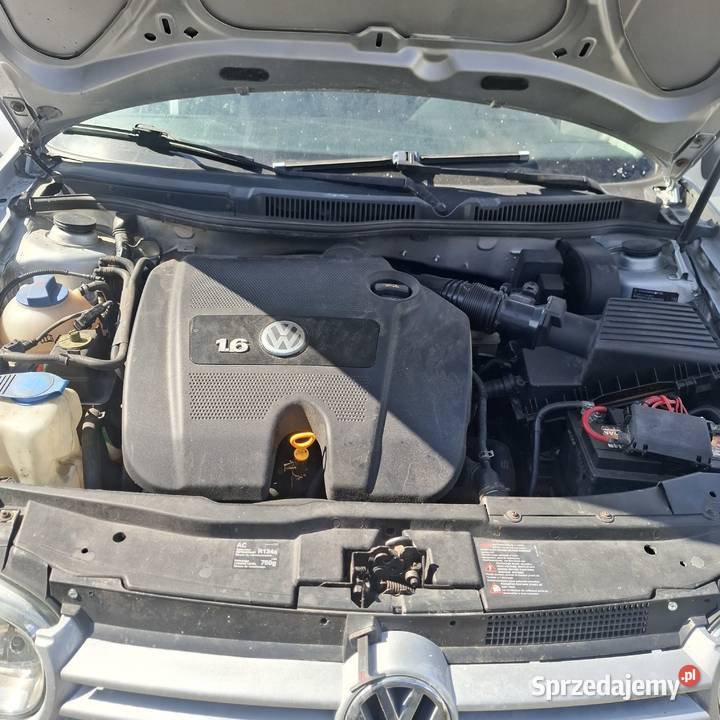Vw Golf 4 Pacyfik 16 B automat Żnin sprzedam
