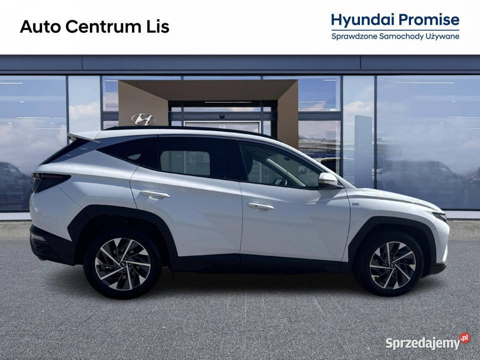 Salon Polska Autoryzowany dealer Executive Kalisz