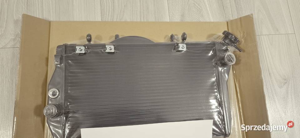 CBR1100XX CBR1100 1100XX SC35 cbr 1100 xx silnik