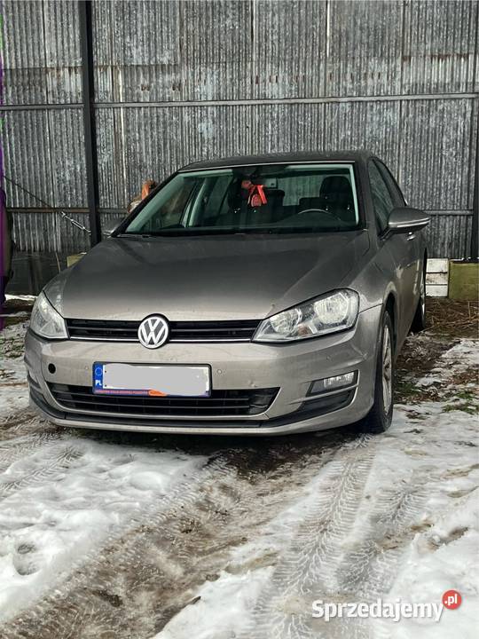 Vw golf 7 Turek