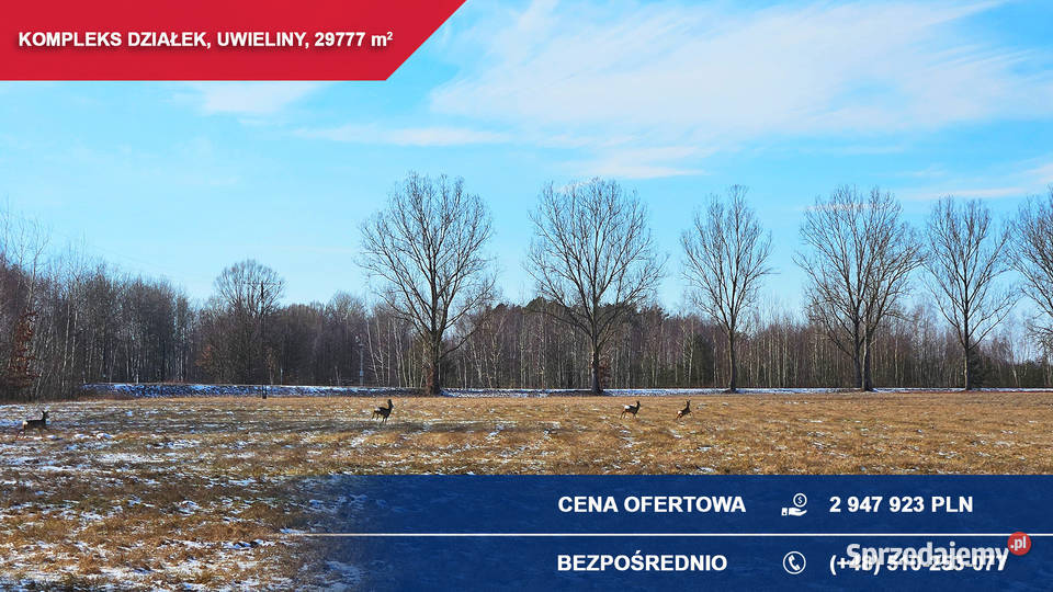 Kompleks 21 działek budowlanych 3ha Uwieliny gm
