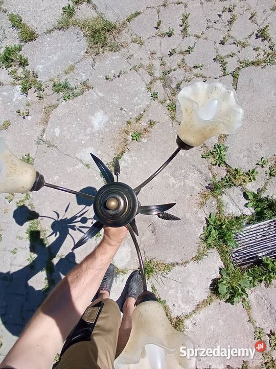 Żyrandol trzy ramienny kłos Jelenia Góra sprzedam