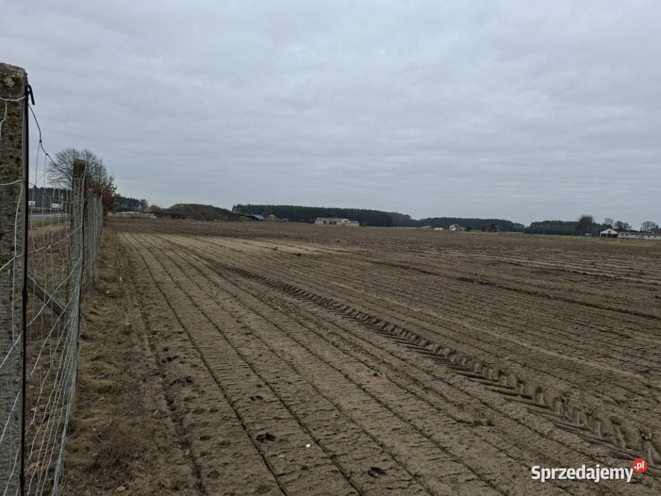 Syndyk sprzeda udział 38 w prawie własności Sprzedaż Grunty i działki Nuna