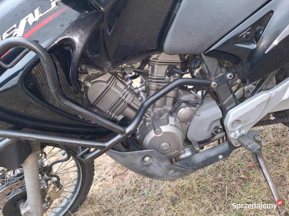 Transalp 650 Końskie sprzedam