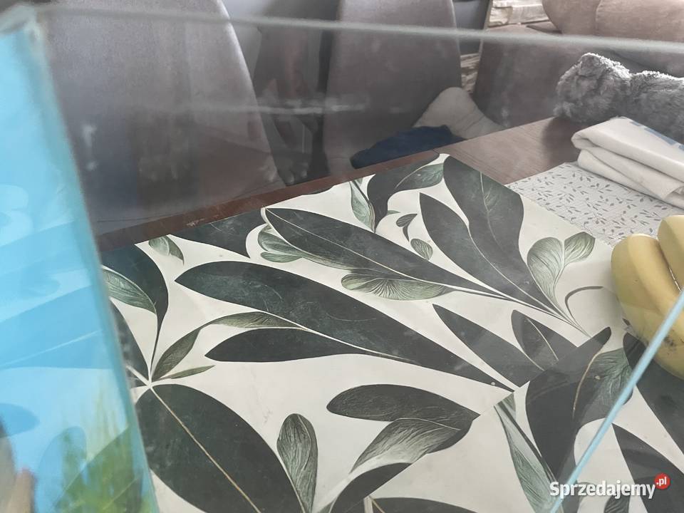 Akwarium 10l Gdańsk