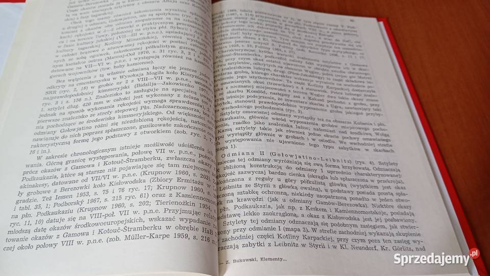 Elementy wschodnie w kulturze łużyckiej u