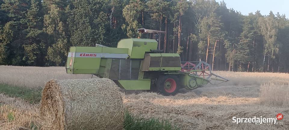 Class Corsar wielkopolskie