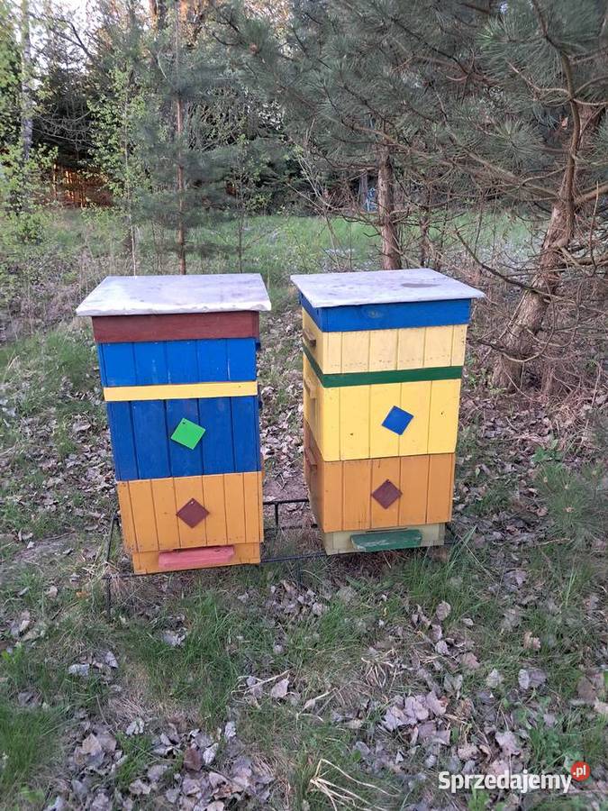 Pakiety odkłady Odrzywół sprzedam
