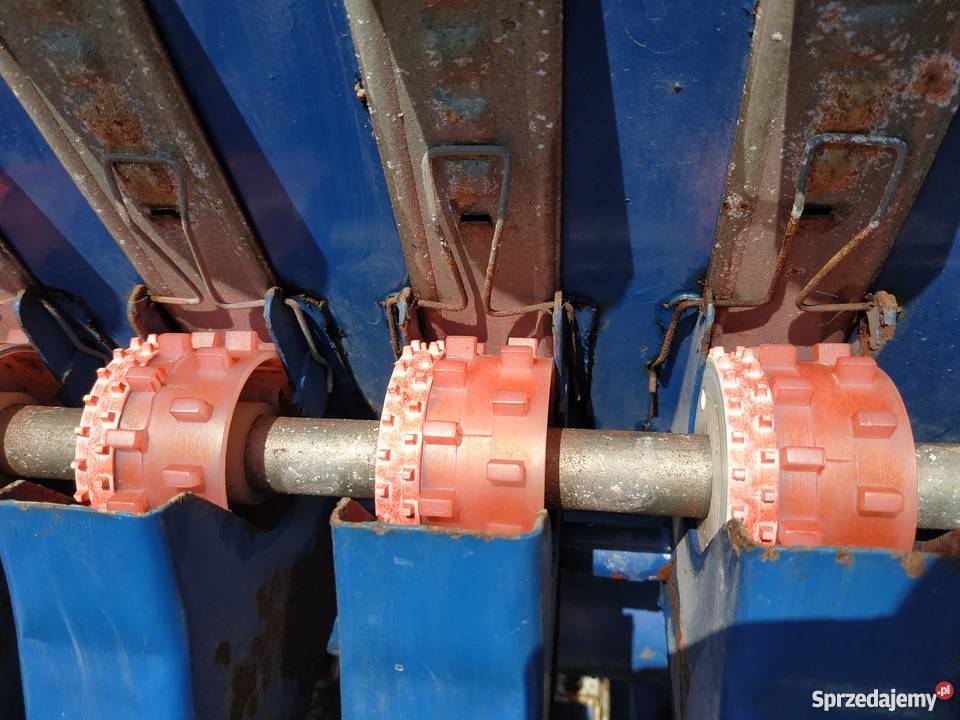 Siewnik Poznaniak 6 Radawiec Duży