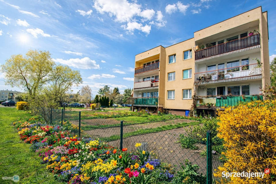 Mieszkanie 6283m2 Kielce własność