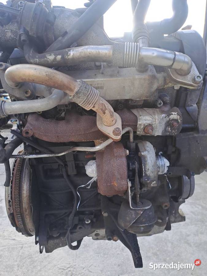 Volkswagen Sharan 19 TDi 115 silnik kompletny Jastrzębie-Zdrój sprzedam