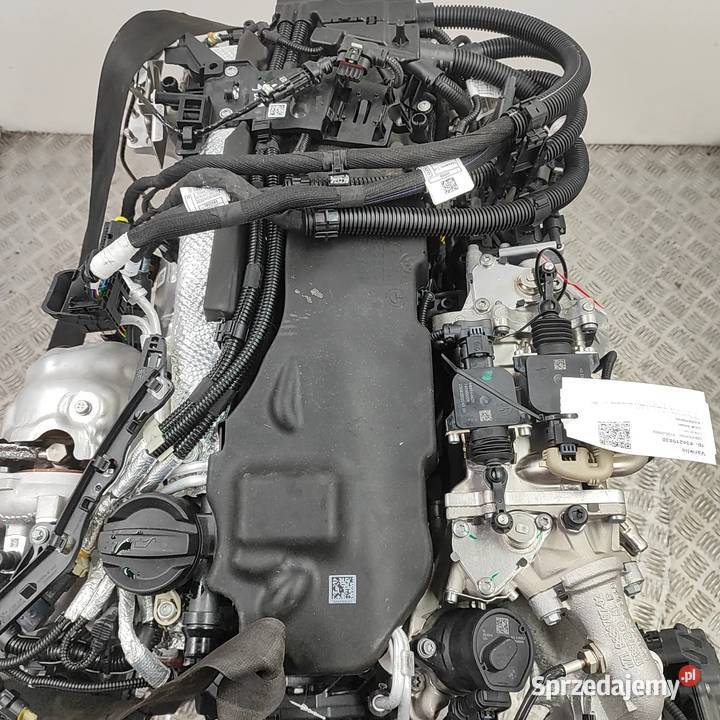 Silnik Bmw X5 G05 xDrive 30 d MildHybrid 30 L Warszawa