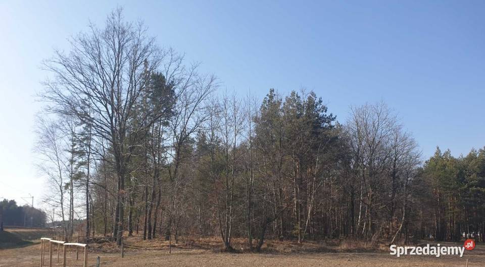 Dzialka lesna mozliwosc budowy domku Czarna