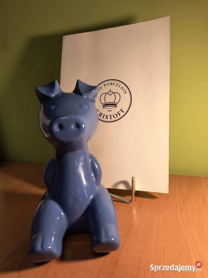 Sympatyczna świnka skarbonka Wałbrzych