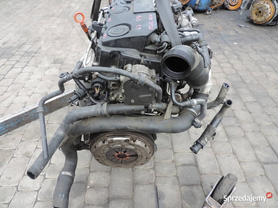 VW PASSAT B6 19 TDI 77KW 105 SILNIK BLS Nowy Sącz