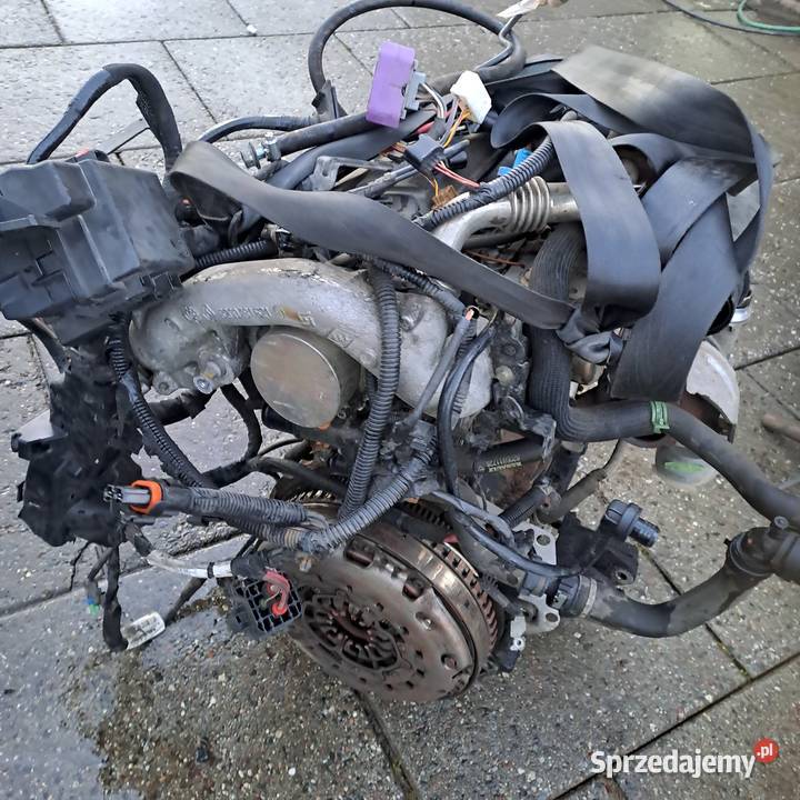 Renault Scenic III 19 DCi silnik kompletny kod Jastrzębie-Zdrój