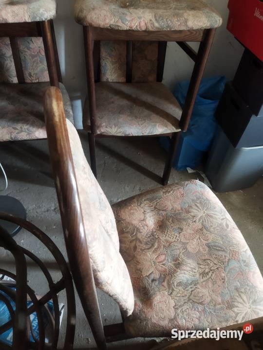 Krzesła do stołu 5 sztuk Miastko