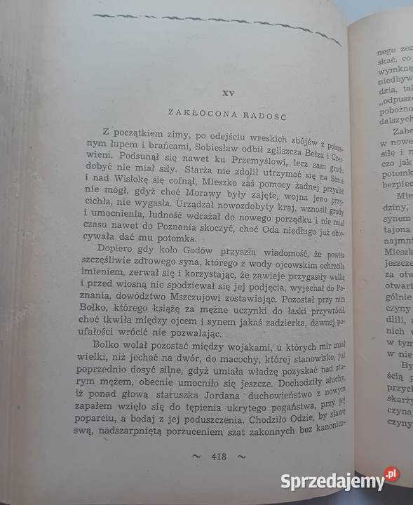 Karol Bunsch Ojcie c i syn 2 tomy w 1 Wydawn Koźminek