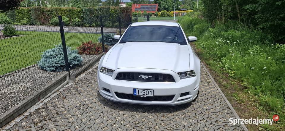 Ford Mustang 37 V generacja V6 poliftowy mały Mustang Jastrzębie-Zdrój sprzedam