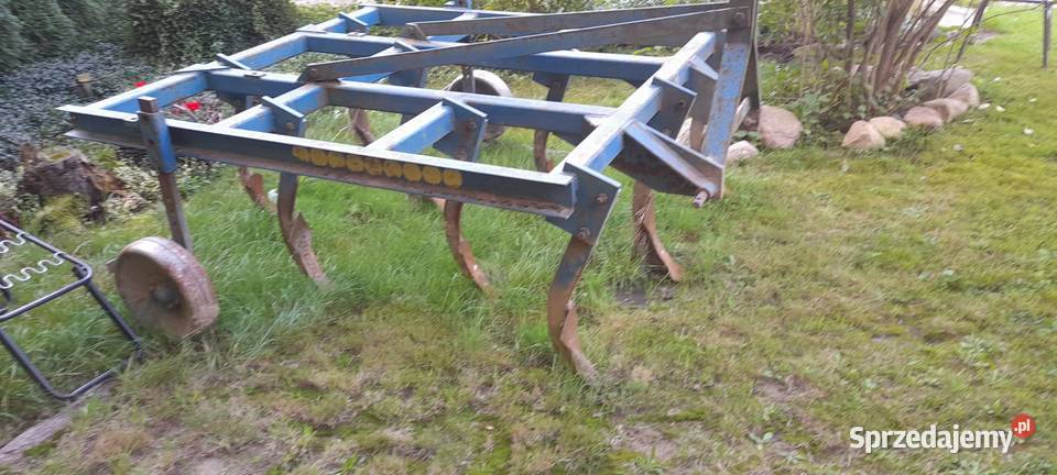 Gruber 9 łap Głębosze Głębosze Bucze