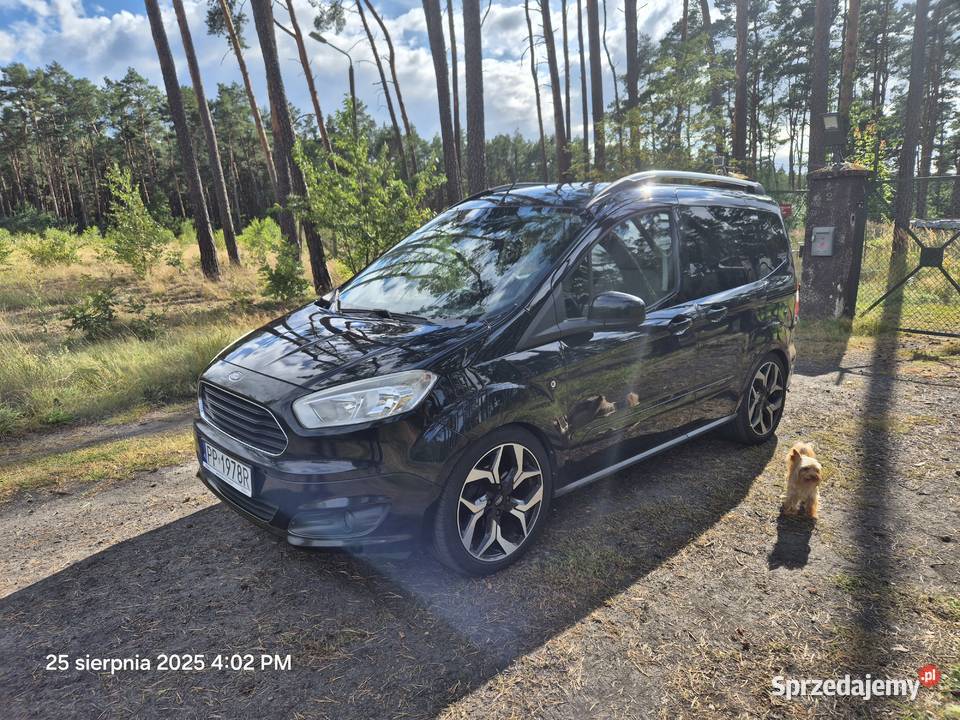 Ford tourneo courier