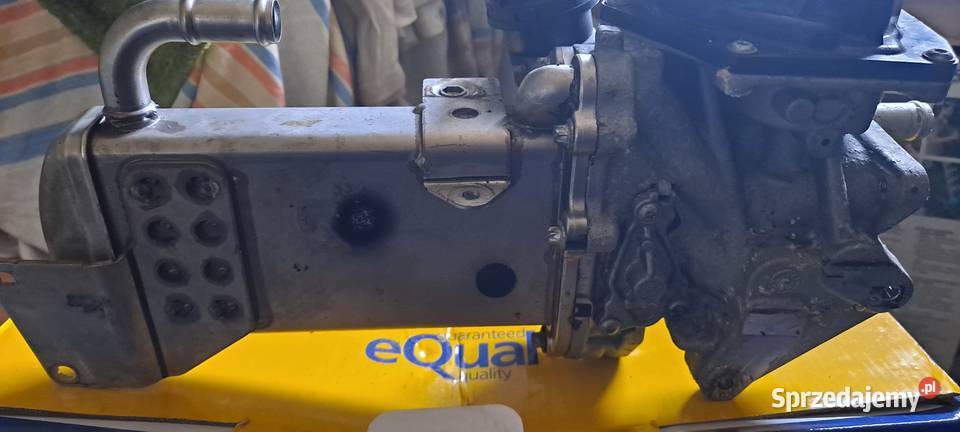 Egr valeo do audi 20 l tdi 177 Majków