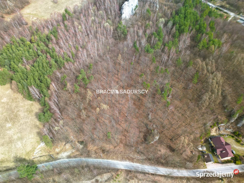 Działkę sprzedam Jerzmanowice Zachodnia 700m2 małopolskie